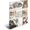 Carpeta Herma A4 cartón gatos