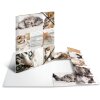 Carpeta Herma A4 cartón gatos