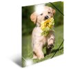 Herma Carpeta Animales A4 PP Perros Brillante