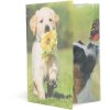 Herma Carpeta Animales A4 PP Perros Brillante