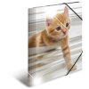 Carpeta Animales A4 PP Gatos Brillante Herma