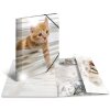 Carpeta Animales A4 PP Gatos Brillante Herma