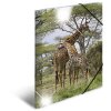Herma Glossy Animals Carpeta A3 PP Jirafa