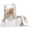 Carpeta Animales A3 PP Gatos Brillante Herma