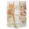 Carpeta Animales A3 PP Gatos Brillante Herma