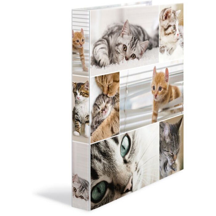 Carpeta de anillas Herma A4 cartón 4D gatos