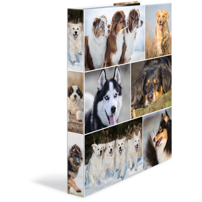 Carpeta de anillas Herma A4 cartón 2D perros