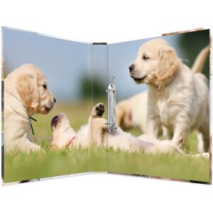 Carpeta de anillas Herma A4 cartón 2D perros