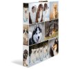 Carpeta de anillas Herma A4 cartón 2D perros