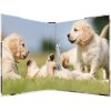 Carpeta de anillas Herma A4 cartón 2D perros