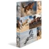 Carpeta de anillas Herma A4 de cartón Caballos 2D