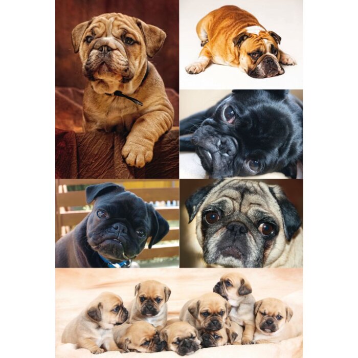 Herma DECOR Sticker DECOR Perros