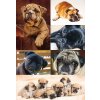 Herma DECOR Sticker DECOR Perros