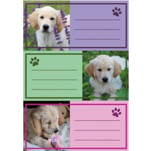 Etiquetas escolares Herma VARIO para perros