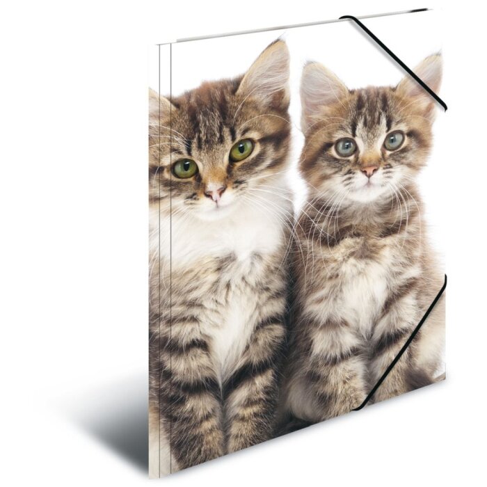Carpeta Herma A4 PP - gatos