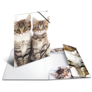 Carpeta Herma A4 PP - gatos