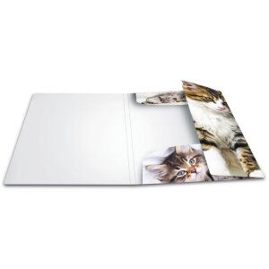 Carpeta Herma A4 PP - gatos