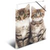 Carpeta Herma A4 PP - gatos