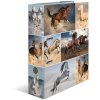 Herma Motif Folder A4 Animales - Caballos