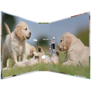 Herma Motif Folder A4 Animales - Perros