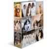 Herma Motif Folder A4 Animales - Perros