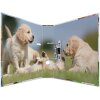 Herma Motif Folder A4 Animales - Perros