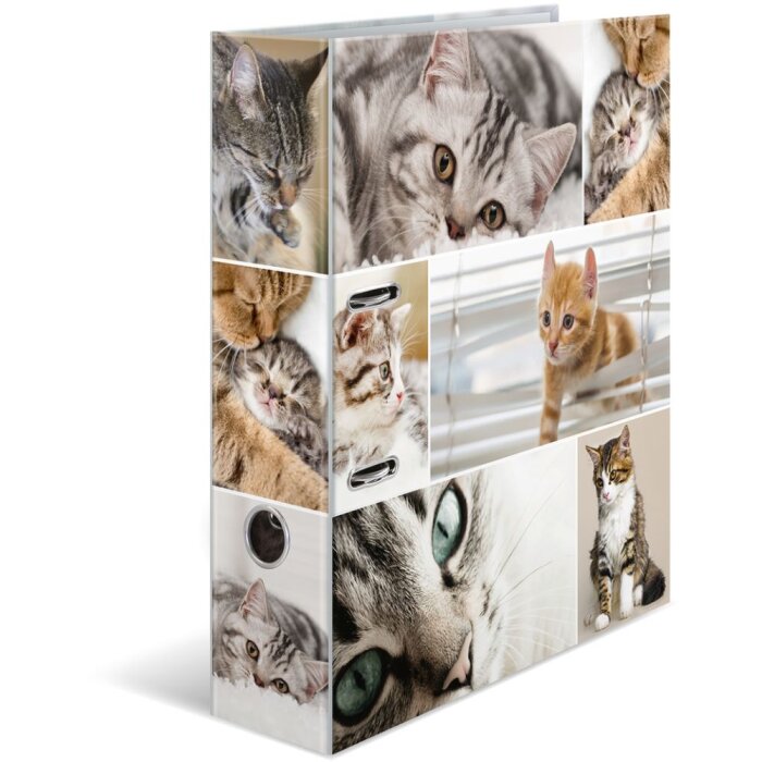 Herma Motif Folder A4 Animales - Gatos