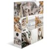 Herma Motif Folder A4 Animales - Gatos