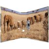 Herma Motif Folder A4 Animales - Africa Animales