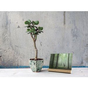 Marco de fotos Simplicity 15x20 cm nature