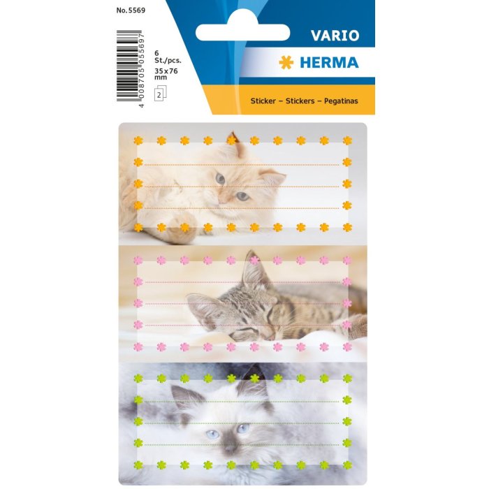 Gatos de etiquetas escolares, relucientes