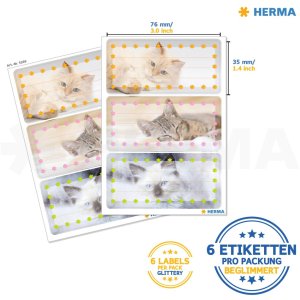 Gatos de etiquetas escolares, relucientes