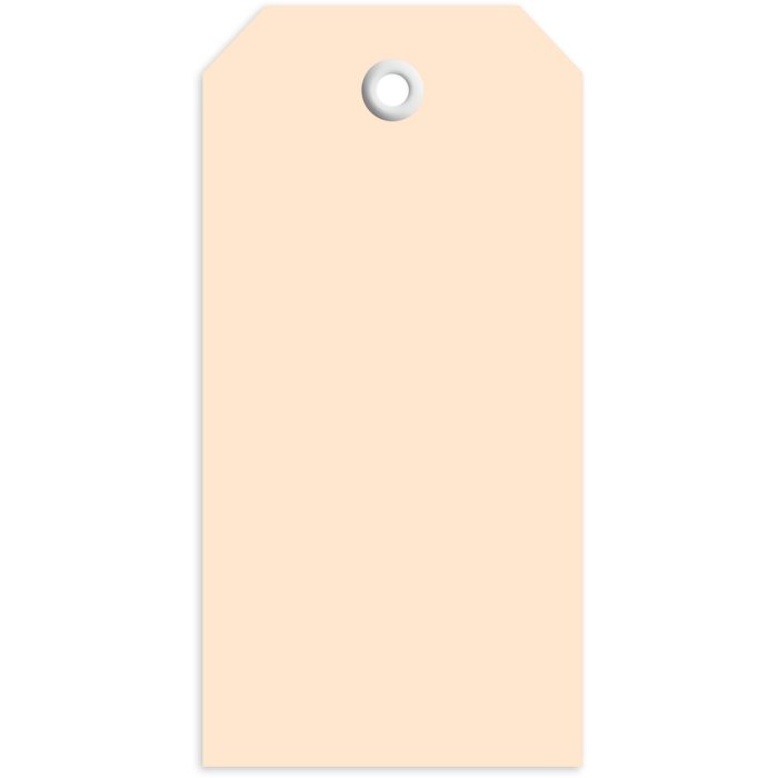 Etiquetas 45x90 mm con ojal de plástico 1000 unid.