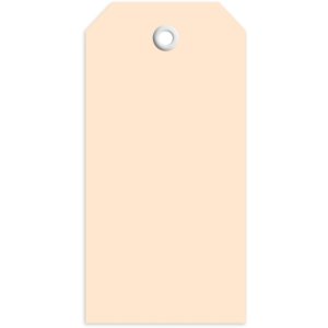 Etiquetas 45x90 mm con ojal de plástico 1000 unid.