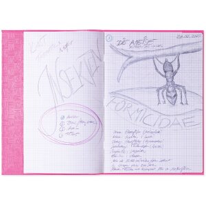 Cubierta de cuaderno de ejercicios pp a4 cubierta-rosa