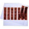 Fundas para negativos HERMA transparentes para tiras de 7 x 5 100 unidades