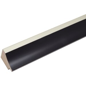 S46GD2 Marco en negro combinado con color plata 30x40 cm