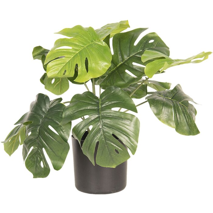 Planta decorativa Monstera Deliciosa 42x42x40 cm