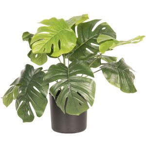 Planta decorativa Monstera Deliciosa 42x42x40 cm