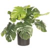 Planta decorativa Monstera Deliciosa 42x42x40 cm