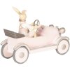 Decoración Conejo en Coche 24x9x18 cm - 6PR2633