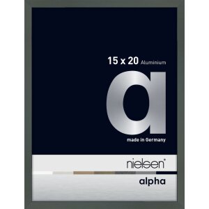 Nielsen Marco de aluminio Alpha 15x20 cm platino