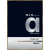 Nielsen Marco de aluminio Alpha 50x70 cm ámbar cepillado