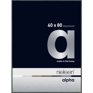 Marco de aluminio Nielsen Alpha 60x80 cm platino