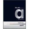 Nielsen Marco de aluminio Alpha 70x90 cm platino