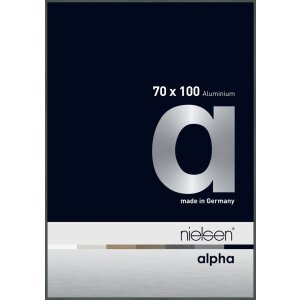 Marco de aluminio Nielsen Alpha 70x100 cm platino