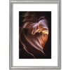 Marco de madera Hama Phoenix 30x45 cm plata
