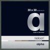 Nielsen Marco de aluminio Alpha TCSC 30x30 cm platino