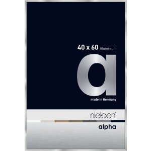 Nielsen Marco de aluminio Alpha TCSC 40x60 cm plata