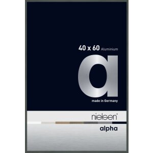 Nielsen Marco de aluminio Alpha TCSC 40x60 cm platino